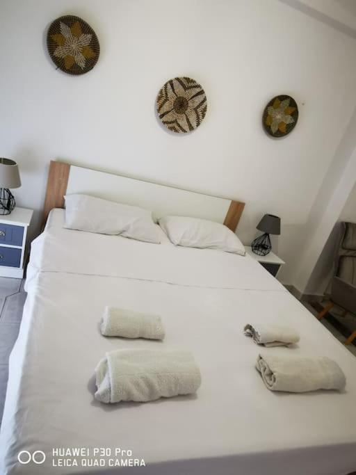 Vicky's Holiday home Kokkari